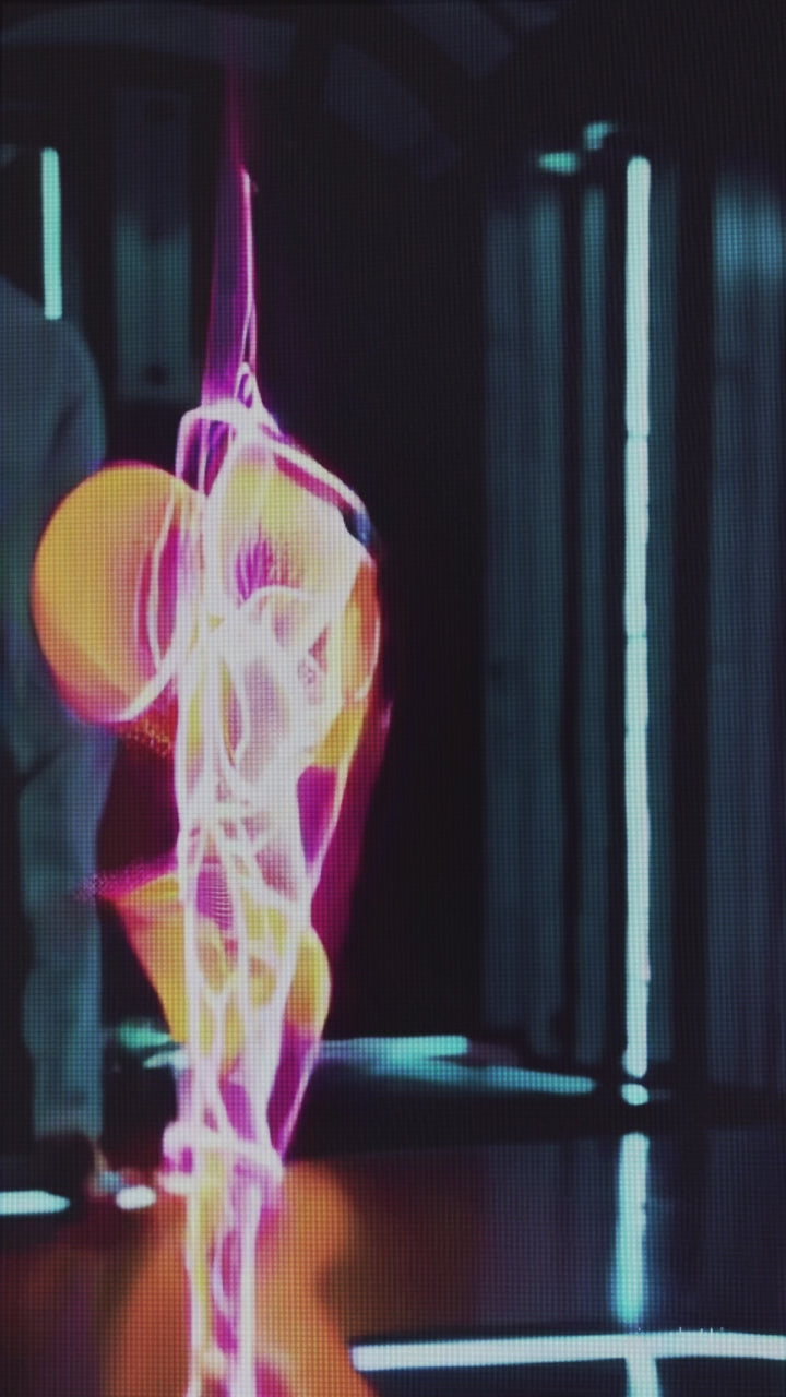 Carica video: